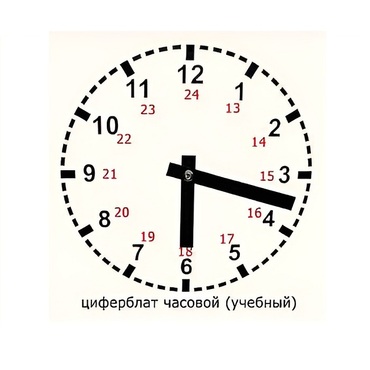 Часовой циферблат раздаточный - «globural.ru» - Саранск