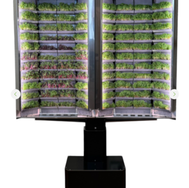 Вертикальная  ферма «Моя микрозелень» комплектация  «Театро настенная» - «globural.ru» - Саранск