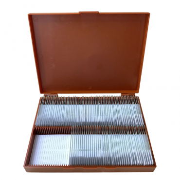 Комплект микропрепаратов по анатомии, ботанике, зоологии, общей биологии - «globural.ru» - Саранск