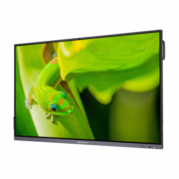 Интерактивный программно-аппаратный комплекс Geckotouch Interactive IP65GT-C в комплекте с настенным креплением - «globural.ru» - Саранск