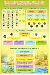 Стенд "Классификация животного мира" - «globural.ru» - Саранск