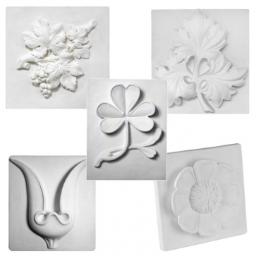 Комплект гипсовых моделей растений  - «globural.ru» - Саранск